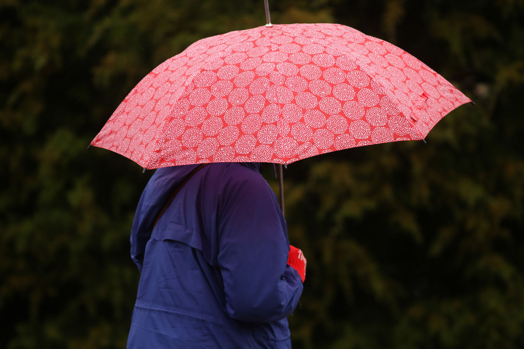 Colors of the rain